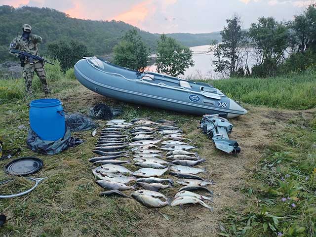 Результаты деятельности органов рыбоохраны Североморского ТУ Росрыболовства с 28 июля по 03 августа 2025 года