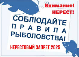 Рыбакам на заметку, в Архангельской области идет нерест весеннее-нерестующих видов рыб.