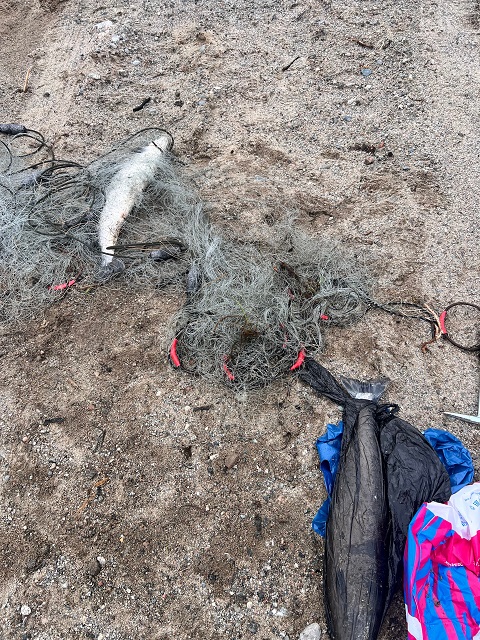 Результаты деятельности органов рыбоохраны Североморского ТУ Росрыболовства со 23 июня по 29 июня 2025 года