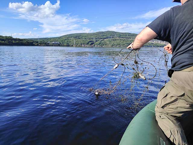 Результаты деятельности органов рыбоохраны Североморского ТУ Росрыболовства с 25 августа по 31 августа 2025 года