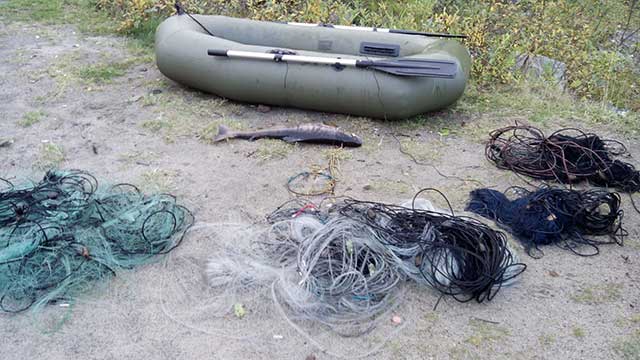 Результаты деятельности органов рыбоохраны Североморского ТУ Росрыболовства с 01 сентября по 07 сентября 2025 года.