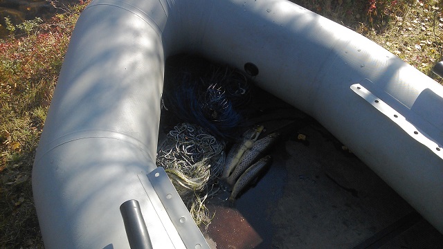 Результаты деятельности органов рыбоохраны Североморского ТУ Росрыболовства с 15 сентября по 21 сентября 2025 года