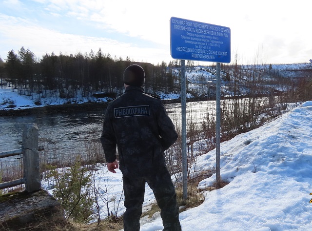 Результаты деятельности органов рыбоохраны Североморского ТУ Росрыболовства с 30 марта по 05 апреля 2026 года