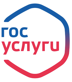 Государственные услуги, предоставляемые в электронной форме 