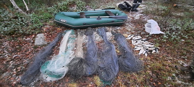 Результаты деятельности органов рыбоохраны Североморского ТУ Росрыболовства с 22 сентября по 28 сентября 2025 года