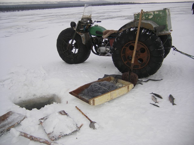 Результаты деятельности органов рыбоохраны Североморского ТУ Росрыболовства с 02 по 08 февраля 2026 года