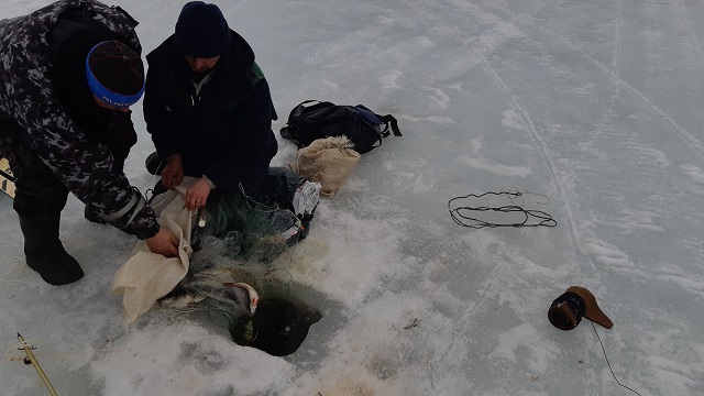 Результаты деятельности органов рыбоохраны Североморского ТУ Росрыболовства с 16 марта по 22 марта 2026 года.