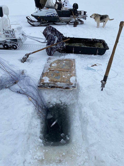 Результаты деятельности органов рыбоохраны Североморского ТУ Росрыболовства с 02 марта по 09 марта 2026 года