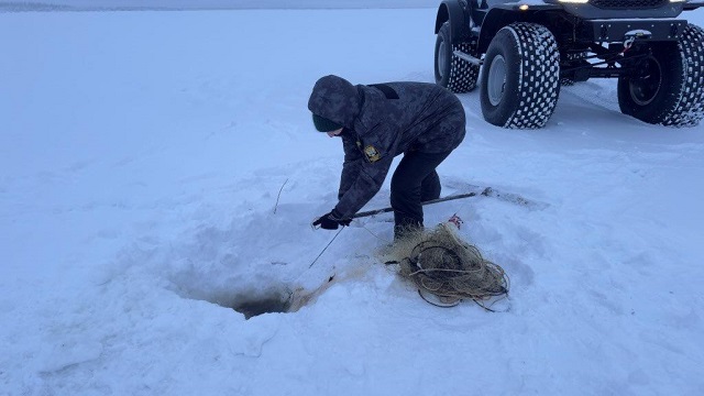 Результаты деятельности органов рыбоохраны  Ненецкого автономного округа Североморского ТУ Росрыболовства  за январь 2026 года.