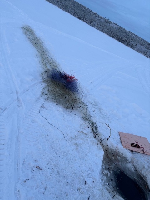 Результаты деятельности органов рыбоохраны Североморского ТУ Росрыболовства с 13 апреля по 19 апреля 2026 года