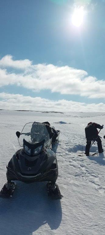 Результаты деятельности органов рыбоохраны Ненецкого автономного округа Североморского ТУ Росрыболовства по состоянию на 31 марта 2026 года.