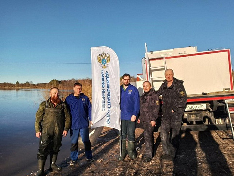 В Архангельской области продолжаются работы по искусственному воспроизводству
