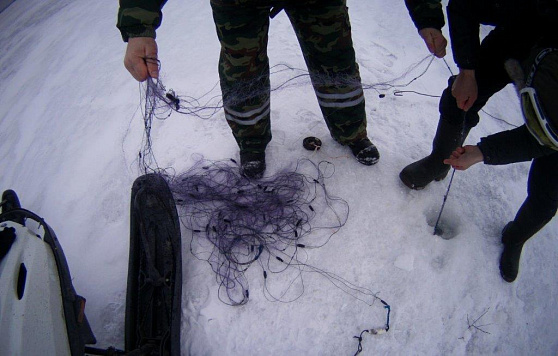 Результаты деятельности органов рыбоохраны Мурманской области Североморского ТУ Росрыболовства в 2026 году  по состоянию на 31 марта 2026 года.