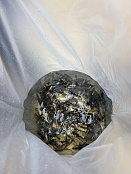 В Мурманской области продолжаются работы по искусственному воспроизводству