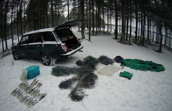 Рыбоохрана Мурманской области выявила более 1,2 тыс. нарушений в 2025 году