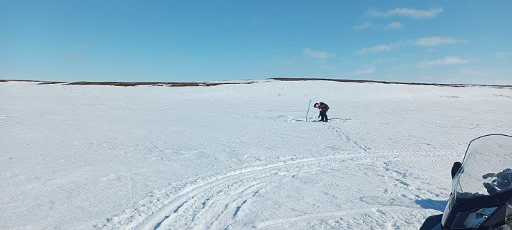 Результаты деятельности органов рыбоохраны Ненецкого автономного округа Североморского ТУ Росрыболовства по состоянию на 31 марта 2026 года.