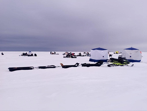 Результаты деятельности органов рыбоохраны  в Архангельской области Североморского ТУ Росрыболовства  в 2025 году по состоянию на 31 декабря 2025 года.   