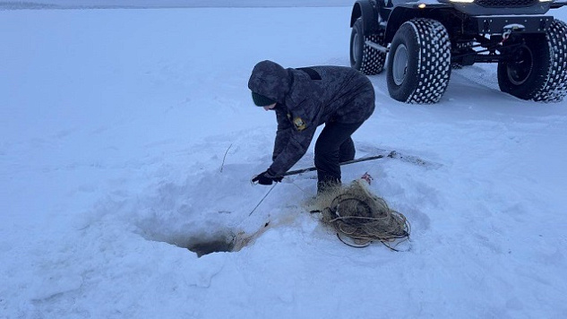Результаты деятельности органов рыбоохраны  Ненецкого автономного округа Североморского ТУ Росрыболовства  за январь 2026 года.