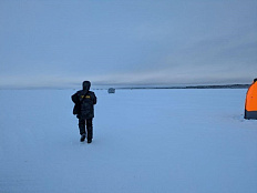 Результаты деятельности органов рыбоохраны в Архангельской области Североморского ТУ Росрыболовства  за январь 2026 года.