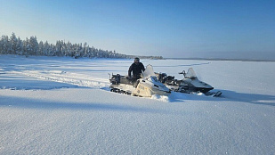 Результаты деятельности органов рыбоохраны в  Мурманской области Североморского ТУ Росрыболовства  за февраль 2026 года