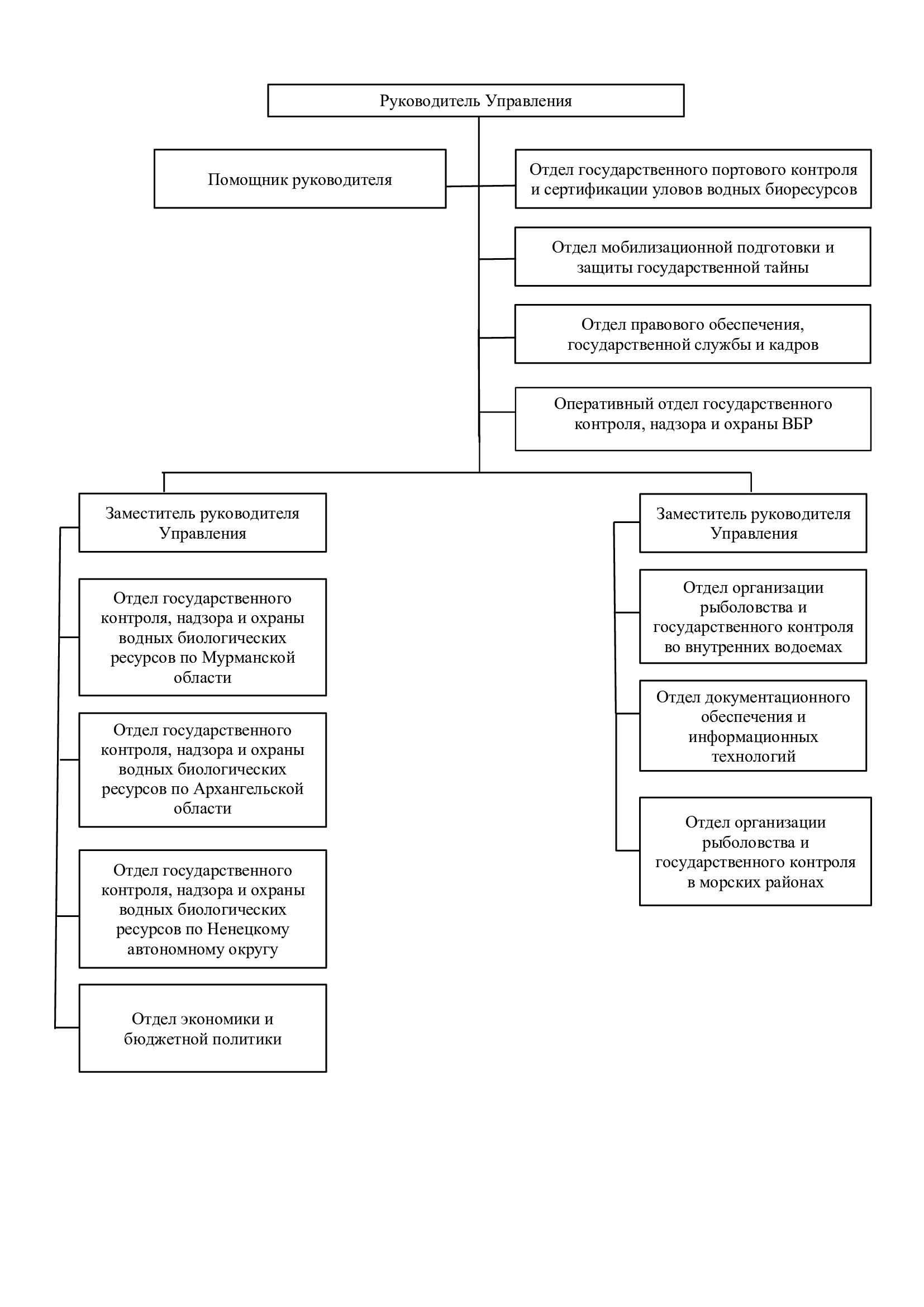 Structura.png